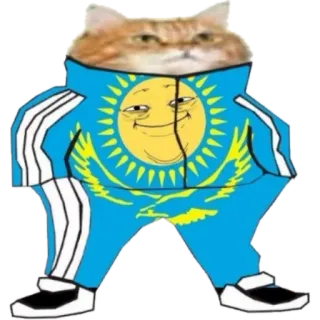 🙂 gatto, kazakistan, divertente, meme, sole, tuta telegram sticker