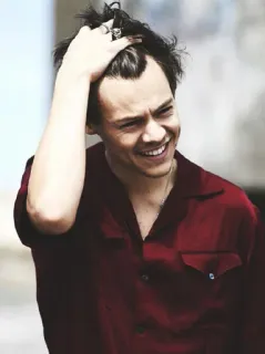 💷 Harry Styles harry styles, chanteur, célébrité, one direction, musique, portrait, homme telegram sticker