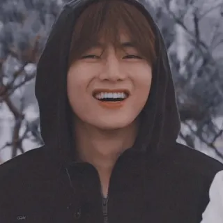 🤣 V V, BTS, K-pop, Корейский певец, Айдол telegram sticker