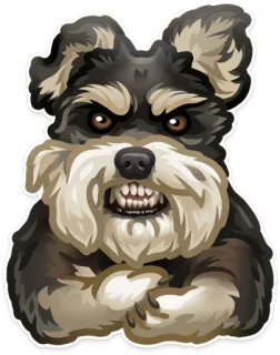🐶 개, 화난, 애완 동물, 동물, 심술궂은, 슈나우저 telegram sticker