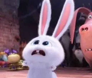 🐰 Snowball The Secret Life of Pets conejo, dibujos animados, animado, miedo, shock whatsapp sticker