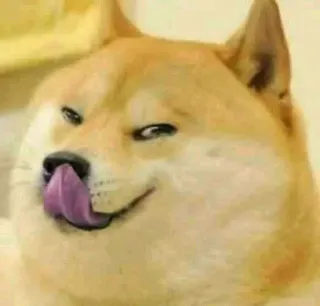 😂 Doge cane, shiba inu, meme, carino, animale domestico telegram sticker