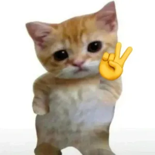 🌟 Sad Cat telegram sticker