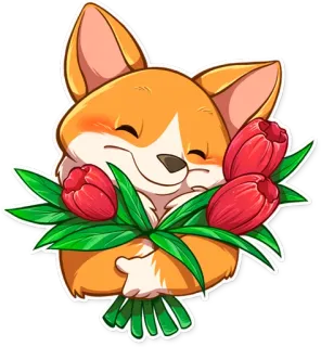 💐 corgi, perro, tulipanes, flores, lindo, ramo, mascota, animal whatsapp sticker