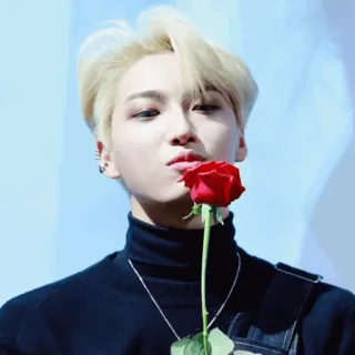 ✨ người đàn ông, hoa hồng, tóc vàng, ca sĩ, K-pop, nam, người telegram sticker