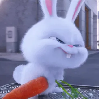 ☁️ Snowball The Secret Life of Pets coniglio, carota, carino, animale, animale domestico whatsapp sticker