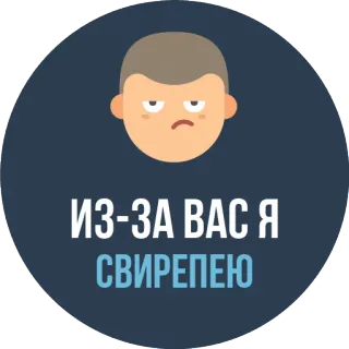 😡 ИЗ-ЗА ВАС Я СВИРЕПЕЮ ruso, enojado, cara, irritado, expresión whatsapp sticker