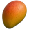 🥥
