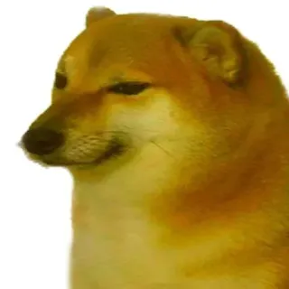 😏 dog, meme, animal, cheems telegram sticker