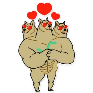 💛 doge, hund, herzen, muskulös, liebe, meme, lustig telegram sticker