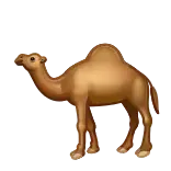 🐪