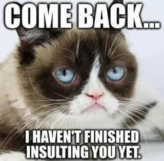 🤣 COME BACK... 
I HAVEN'T FINISHED INSULTING YOU YET. 暴躁猫, 表情包, 搞笑, 侮辱, 猫, 动物, 幽默 whatsapp sticker