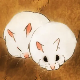 🐹 hamster, rodent, animal, cute, white hamster, pet telegram sticker