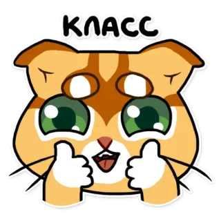👍 КЛАСС gato, pulgar arriba, lindo, animal, positivo, aprobación whatsapp sticker