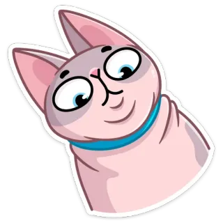 👀 cat, sphynx cat, sticker, cute, animal, pet telegram sticker