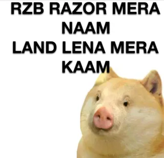 🐷 RZB RAZOR MERA NAAM LAND LENA MERA KAAM doge, mème, drôle, animal, chien whatsapp sticker