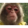 🐵