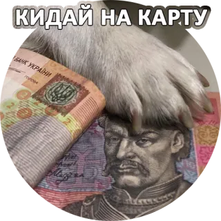 🌚 КИДАЙ НА КАРТУ soldi, valuta, finanza, banconote, grivnia ucraina whatsapp sticker