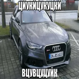 🤨 циукициукуцки 
вцвццуцуйк car, audi, sticker whatsapp sticker