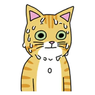🐈 cat, sweating, nervous, scared, worried, orange cat, cartoon cat telegram sticker