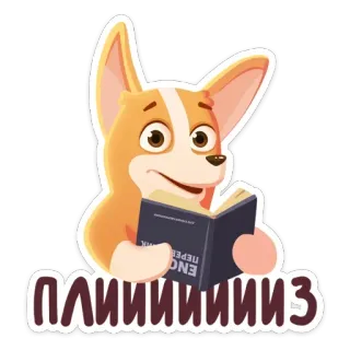 🥺 ПЛИИИИИЗ cachorro, corgi, lendo, livro, implorando telegram sticker