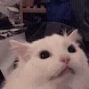 😡