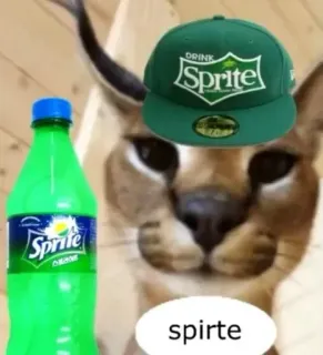 🍋 spirte cat, sprite, drink, floppa, meme telegram sticker