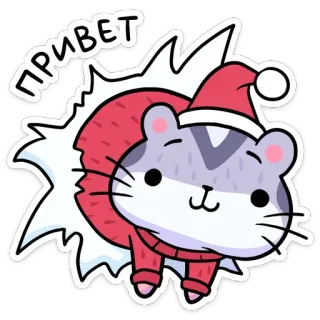 👋 ПРИВЕТ แมว, สวัสดี, น่ารัก, ฤดูหนาว, วันหยุด, คริสต์มาส, ซานต้า, สัตว์ telegram sticker