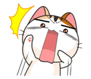 🙀 chat, surpris, choqué, dessin animé, animal, mignon whatsapp sticker