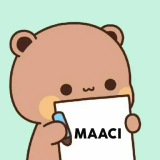 🐻 MAACI telegram sticker