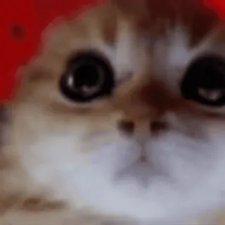 😠