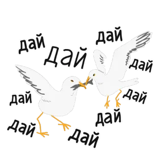 🤲 Дай burung camar, burung, ayo telegram sticker