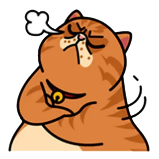 😔 кот, злой, расстроенный, мультфильм, животное, питомец whatsapp sticker