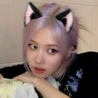 🌸 donna, orecchie da gatto, carino, ritratto, persona, k-pop whatsapp sticker