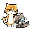 ๐