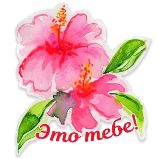 🌺 Это тебе! hibiscus, flower, watercolor, floral, plant, pink telegram sticker