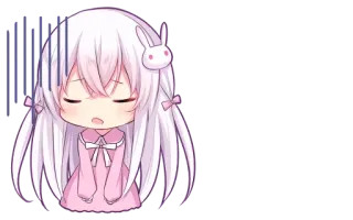 🐈 whatsapp sticker