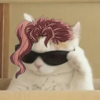 😎 Kakyoin Noriaki JoJo's Bizarre Adventure 猫, 太阳镜, 动漫, JOJO, 花京院 telegram sticker