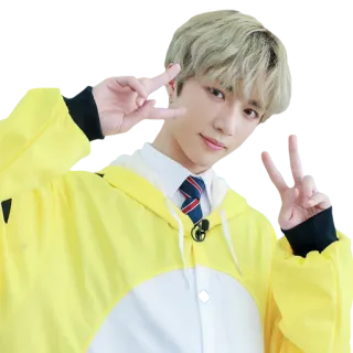 ✌️ personne, kpop, souriant, jeune, signe de paix, célébrité, portrait telegram sticker