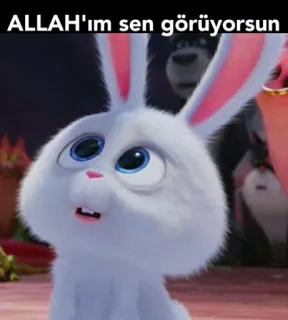 🤦‍♀ ALLAH'ım sen görüyorsun 토끼, 만화, 흰색, 귀여운, 동물 whatsapp sticker