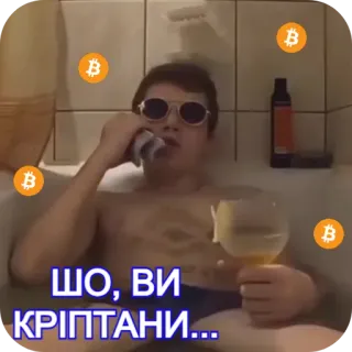 😎 ШО, ВИ КРІПТАНИ... telegram sticker
