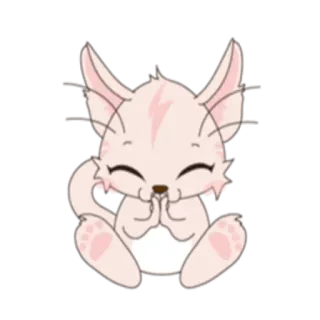 🙏 gato, lindo, dibujos animados, anime, kawaii, animal whatsapp sticker