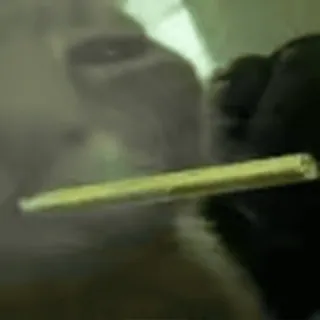🚬