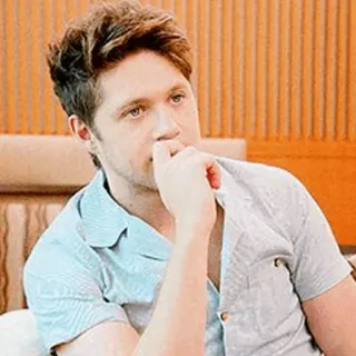 🌙 Niall Horan Sänger, Porträt, Person, Promi, One Direction telegram sticker