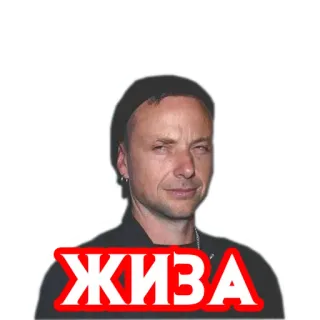 😑 ЖИВА telegram sticker