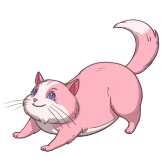 😇 cat, pink, cartoon, animal, cute telegram sticker