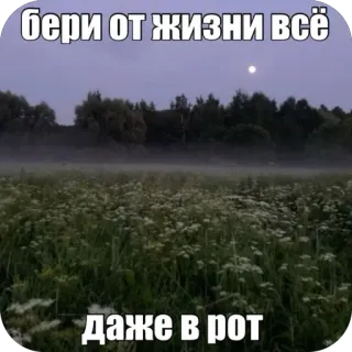 🫥 бери от жизни всё
даже в рот texto ruso, campo, luna, paisaje, flores telegram sticker