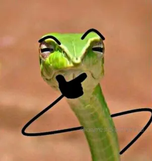 🤔 schlange, tier, cartoon, meme whatsapp sticker