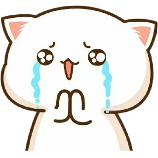 😱 cat, crying, sad, cartoon, animal, cute, kawaii, pleading telegram sticker