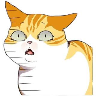 😲 kucing, kucing oranye, terkejut, kaget, hewan, stiker telegram sticker